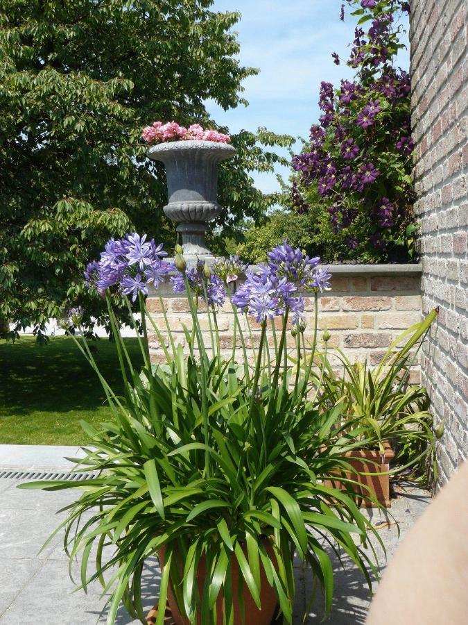 Boekhoute B&B Casabelle מראה חיצוני תמונה